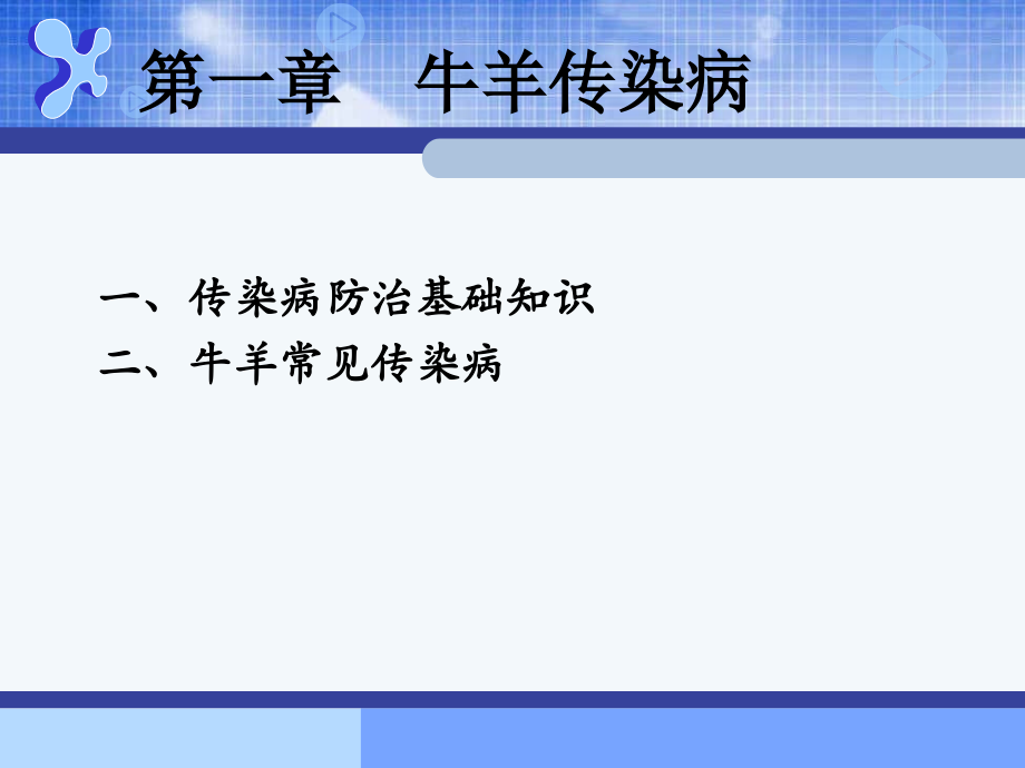 牛羊病防治2.ppt_第1页