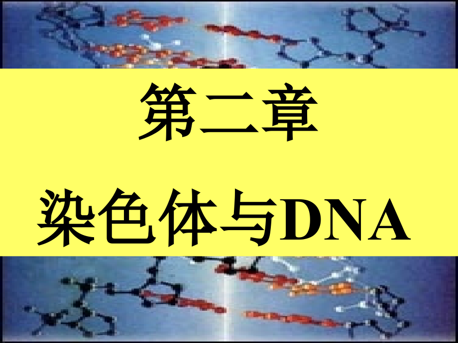 现在分子生物学2.1.ppt_第1页