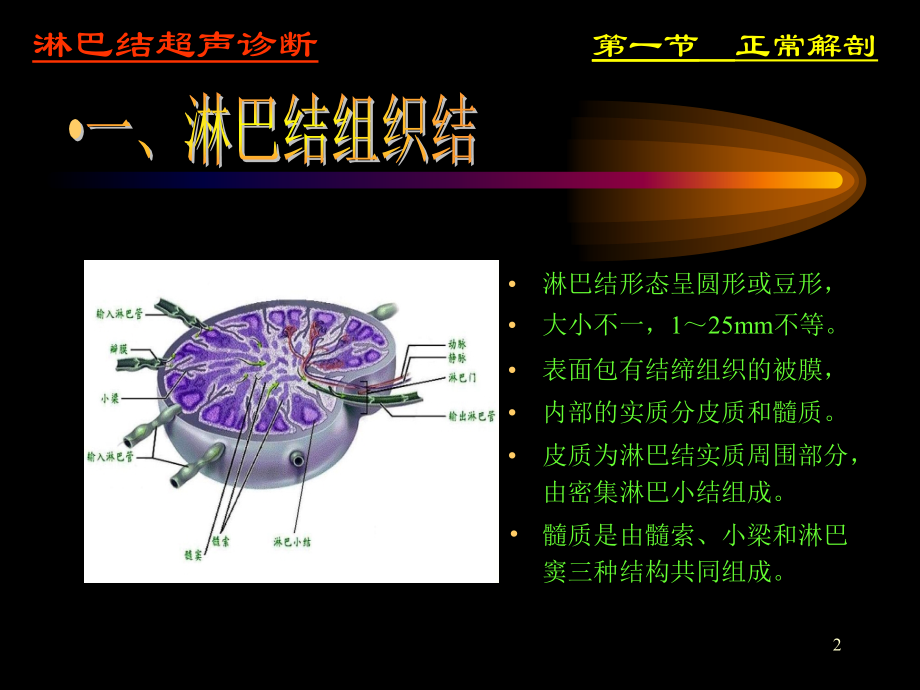 淋巴结超声.ppt_第2页
