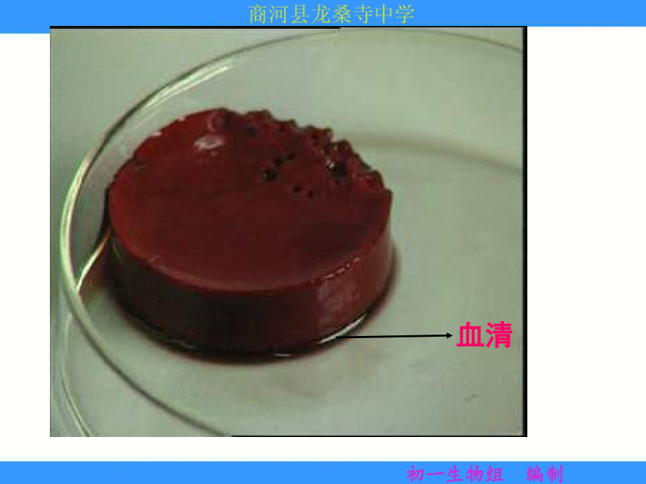 济南版七年级下册生物--第三章《物质运输的载体》.ppt_第2页