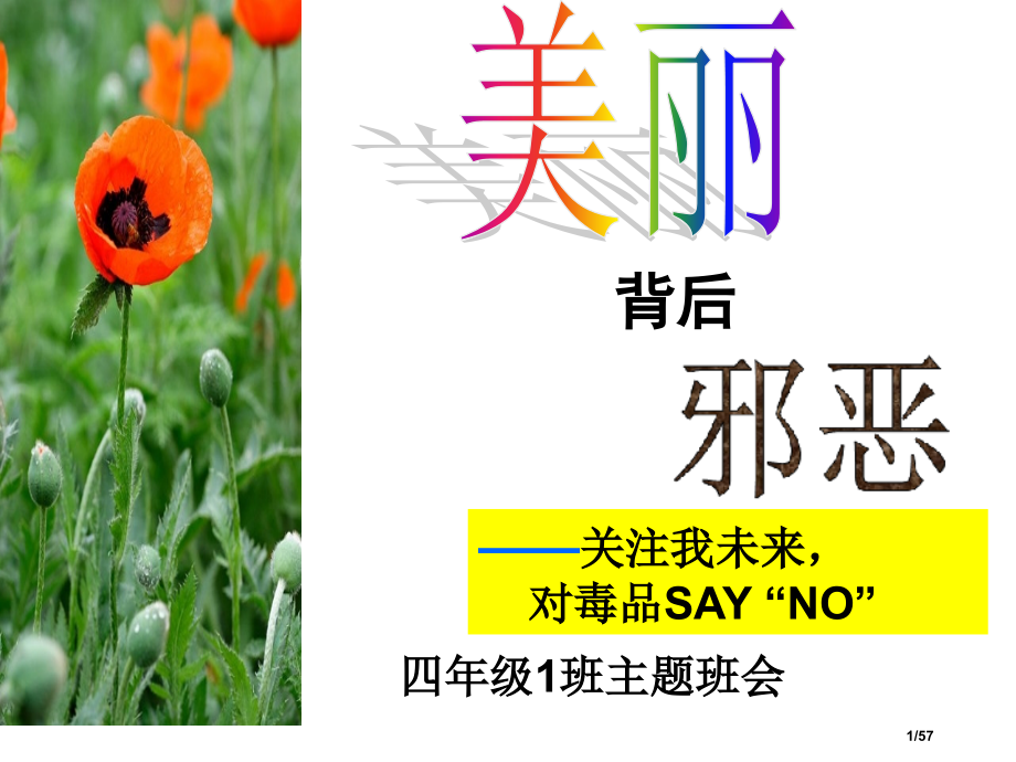 四1班禁毒反邪教主题班会.pptx_第1页