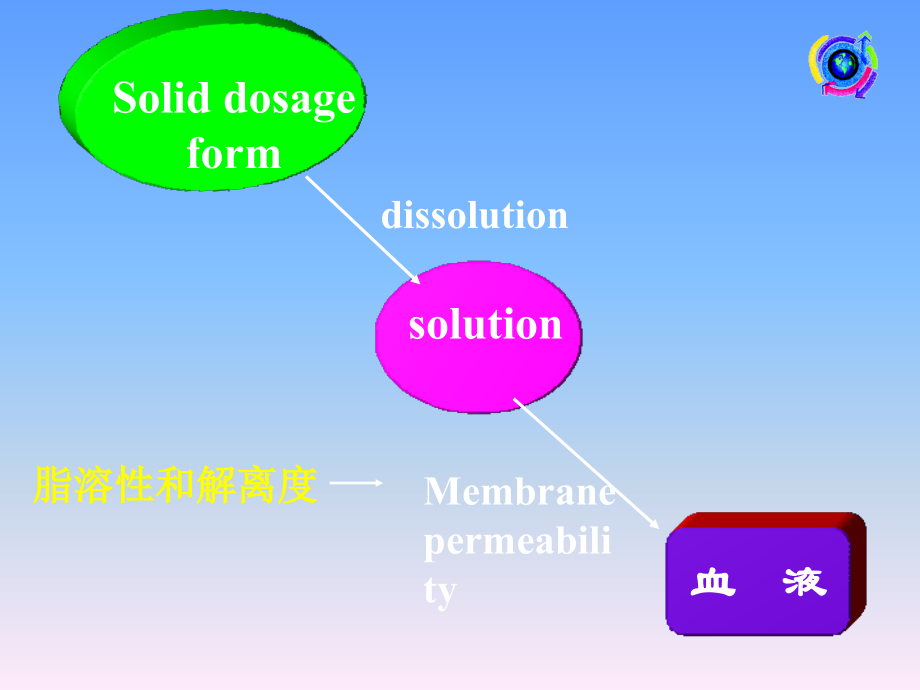 溶出速度正.ppt_第1页