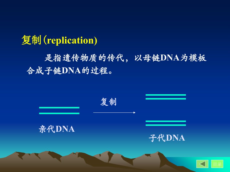生物化学第3篇-第10章-基因信息的传递--DNA的生物合成.ppt_第1页