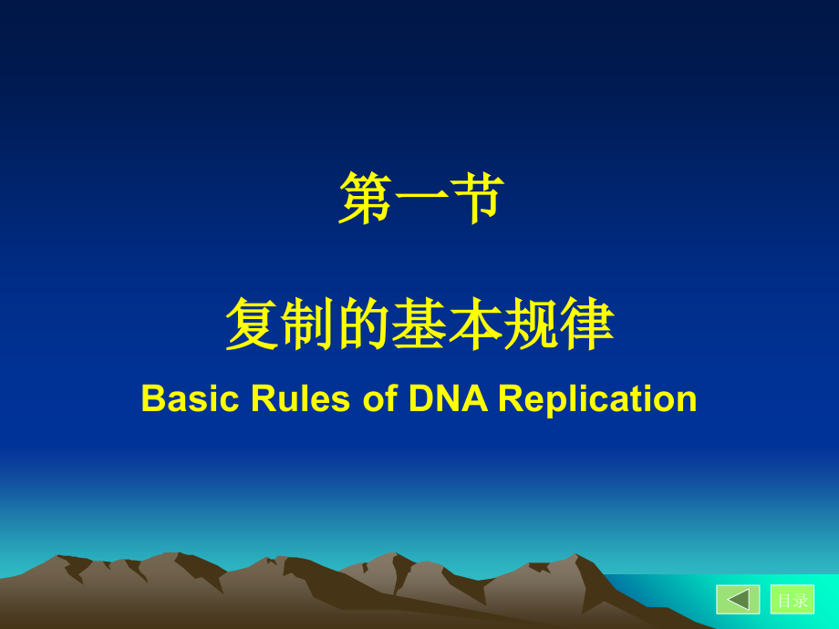 生物化学第3篇-第10章-基因信息的传递--DNA的生物合成.ppt_第2页
