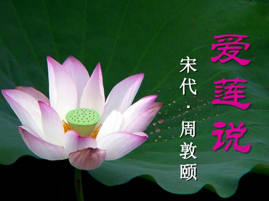 爱莲说正式--人教版.ppt_第2页