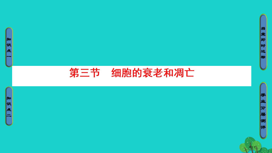 高中生物第四章细胞的增殖与分化第3节细胞的衰老和凋亡省公开课一等奖新名师优质课获奖课件.pptx_第1页