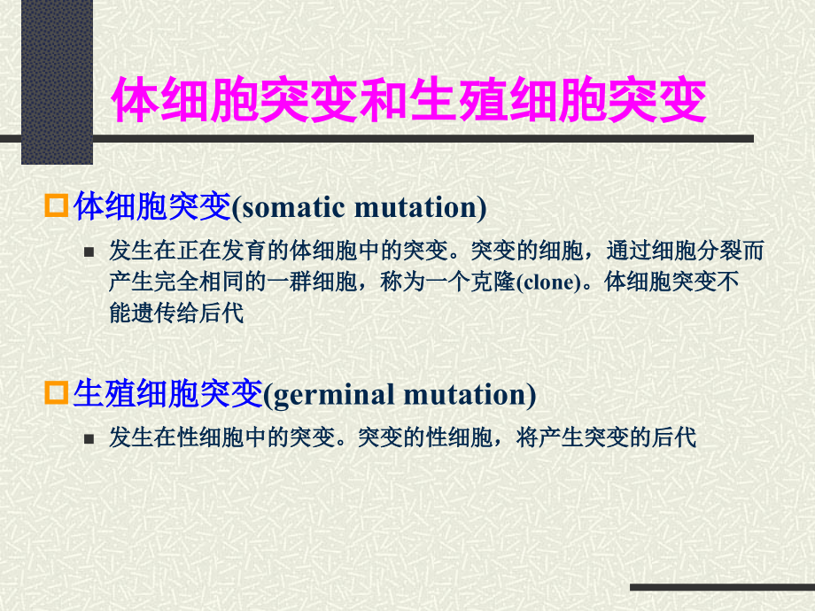 生物学-遗传学第七章.ppt_第2页