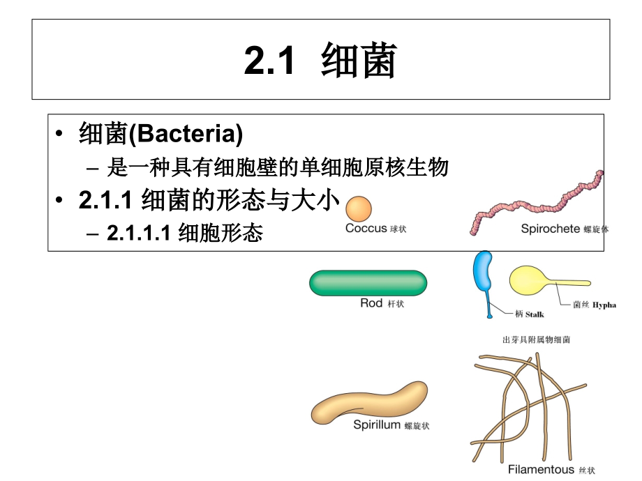 环境工程微生物学第二章.ppt_第2页