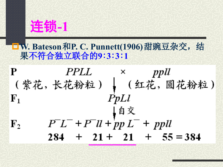 生物学-遗传学第五章.ppt_第1页