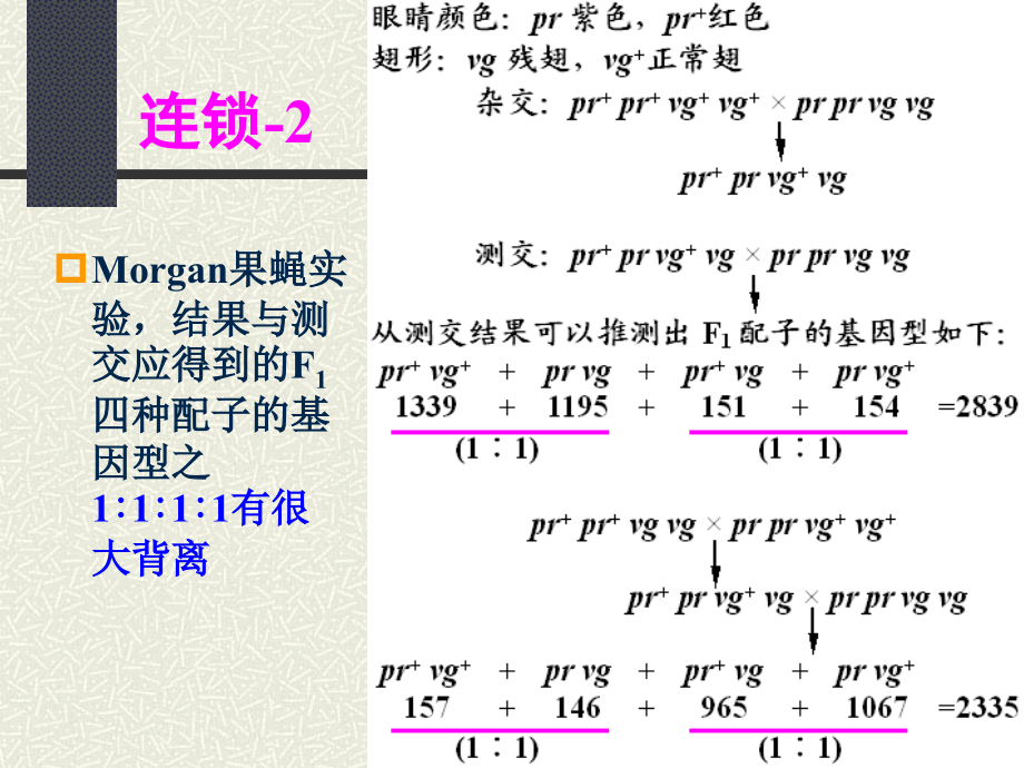 生物学-遗传学第五章.ppt_第2页