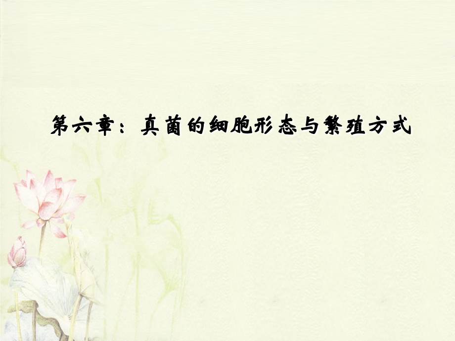 真菌的细胞形态及繁殖方式.ppt_第1页