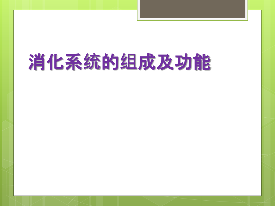 浅尝一点消化系统.ppt_第1页