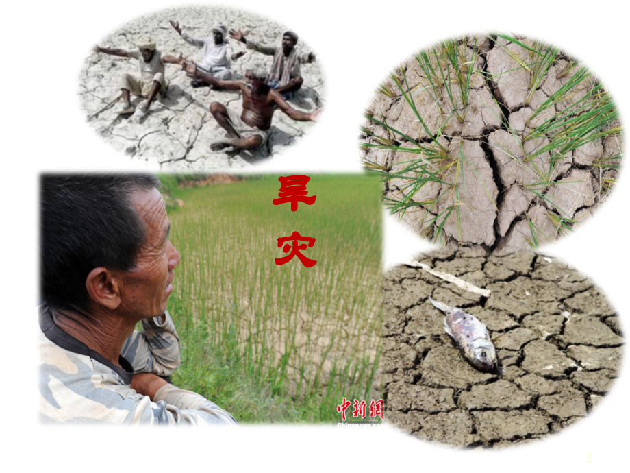 水电解质代谢和酸碱平衡失调-E070914-2010(5)医学.ppt_第2页