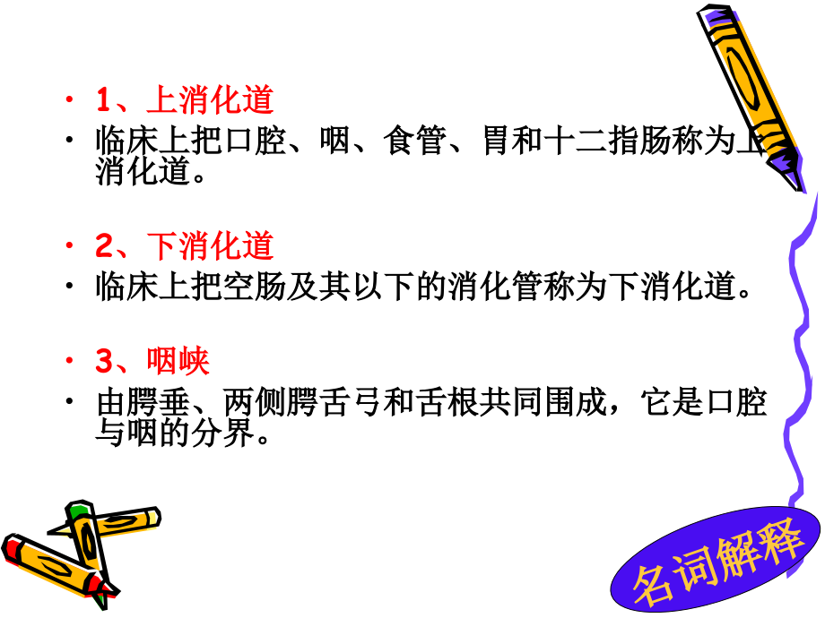 消化系统解剖复习题.ppt_第2页