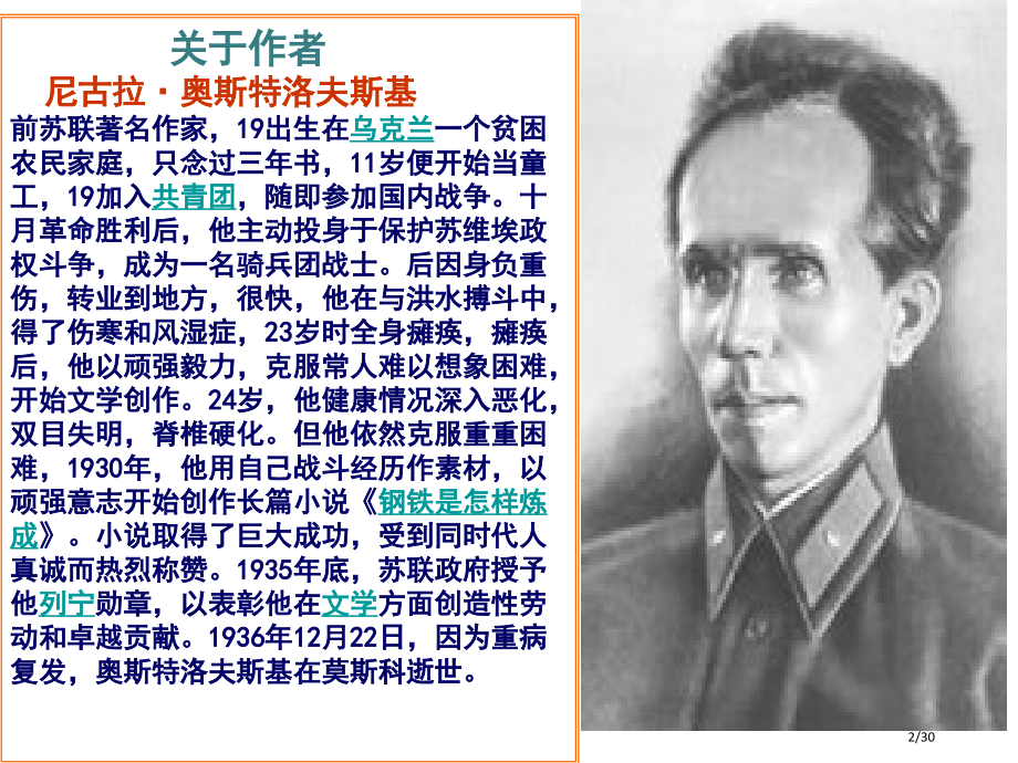 名著复习《钢铁是怎样炼成的》(9).pptx_第2页