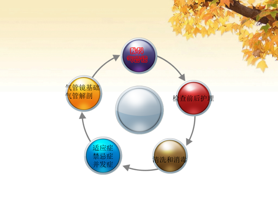 气管镜检查基础与相关的护理[1].ppt_第2页