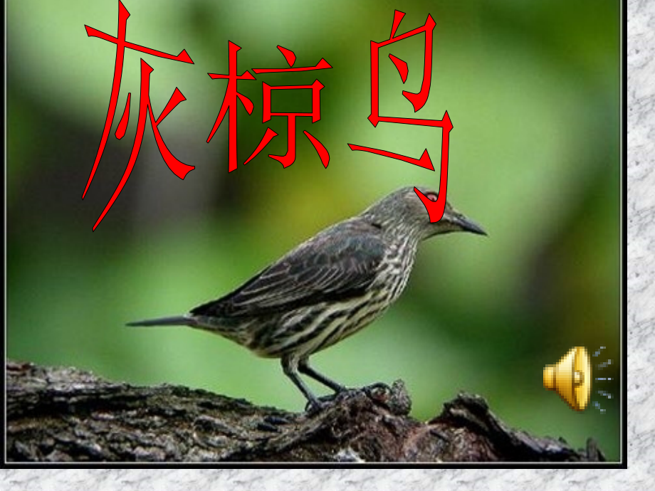 灰椋鸟第一课时市公开课一等奖市赛课金奖课件.pptx_第1页