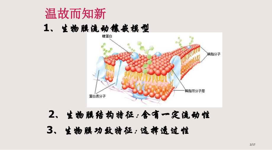 公开课物质跨膜运输的方式课件.pptx_第2页