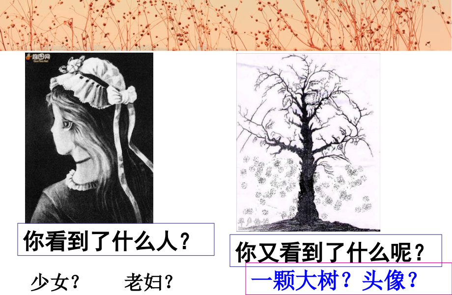 意识的本质2017.pptx_第2页