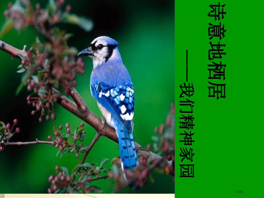 中国经典文学作品欣赏第一讲诗经楚辞市公开课一等奖省赛课微课金奖课件.pptx_第1页