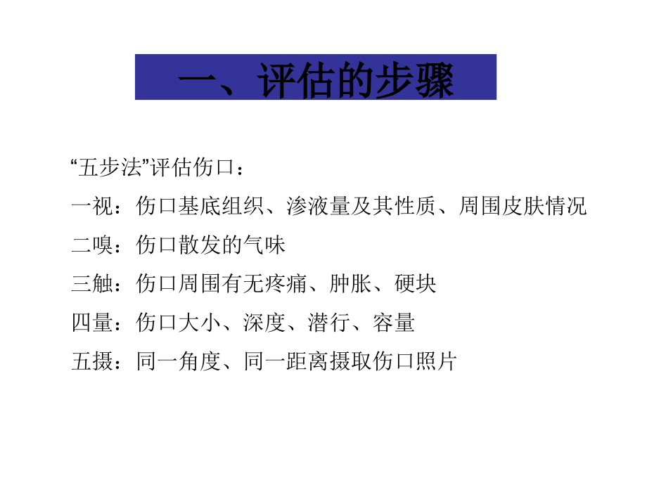 放谢性皮炎.ppt_第2页