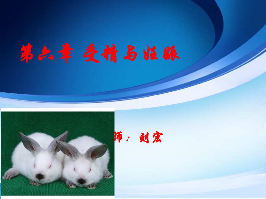 第六章受精与妊娠.ppt_第1页