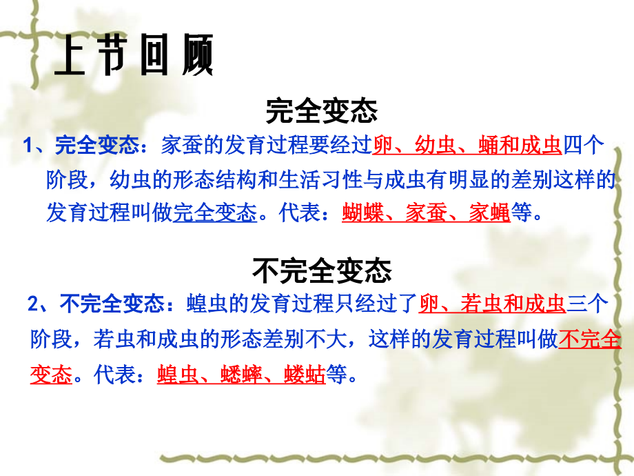 新人教版两栖动物的生殖和发育.ppt_第1页