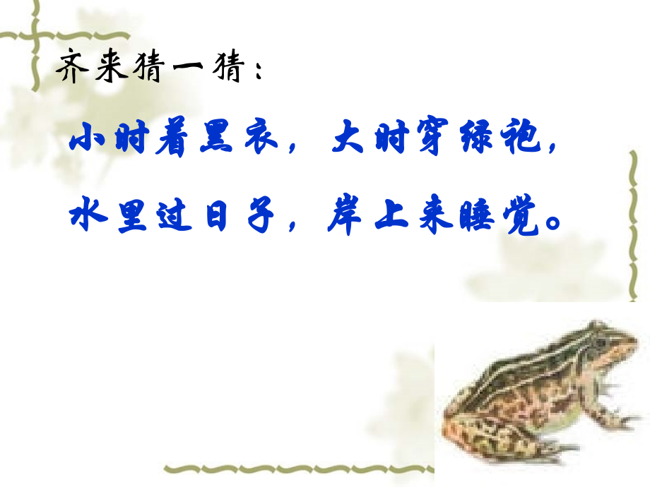 新人教版两栖动物的生殖和发育.ppt_第2页