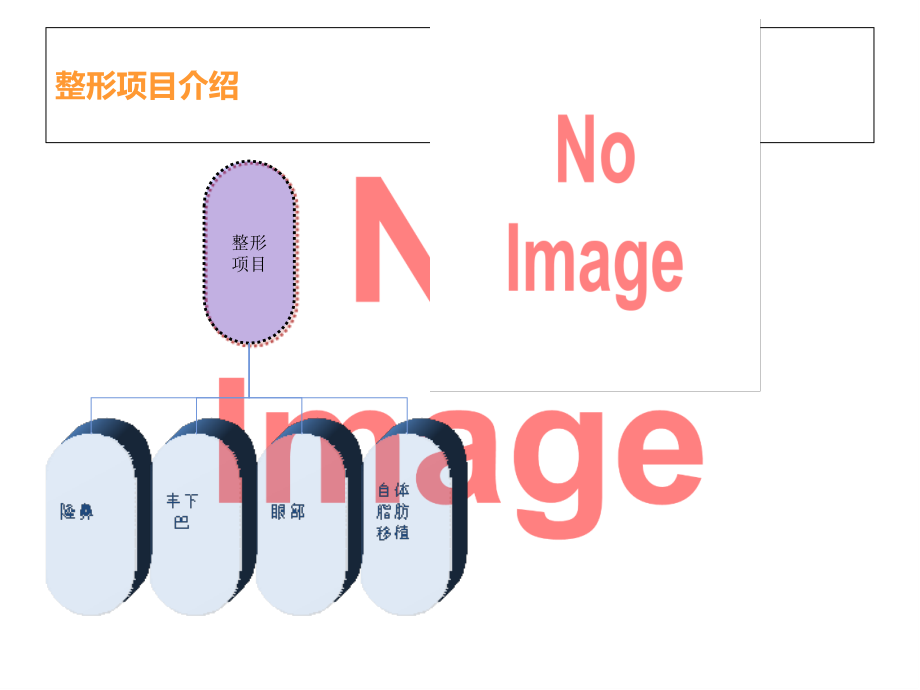 整形培训课件..ppt_第2页