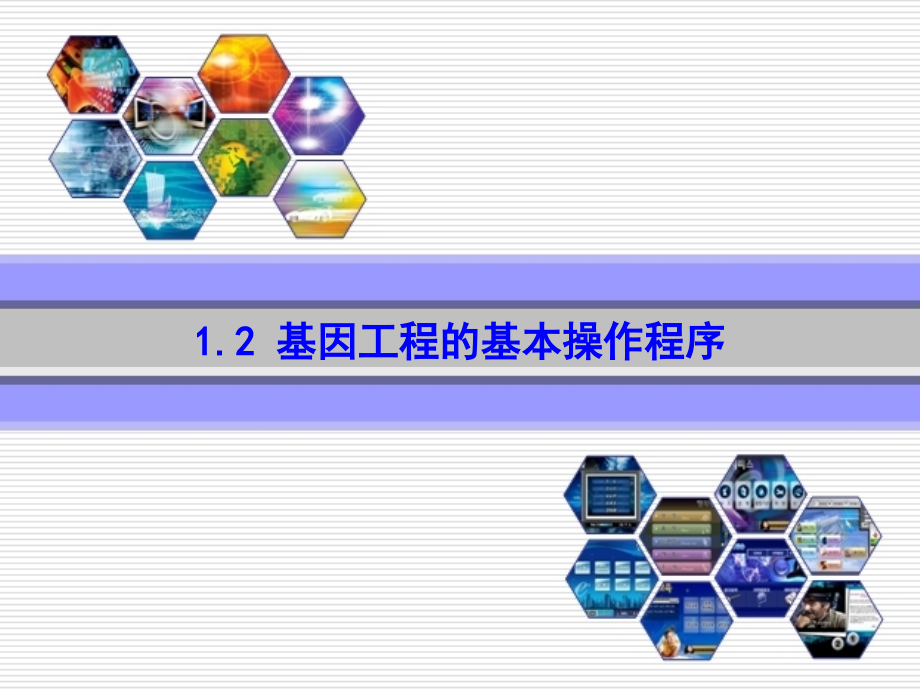 12-基因工程的基本操作程序.pptx_第1页