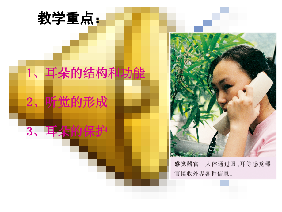 感知信息(2)耳的结构和功能.ppt_第2页