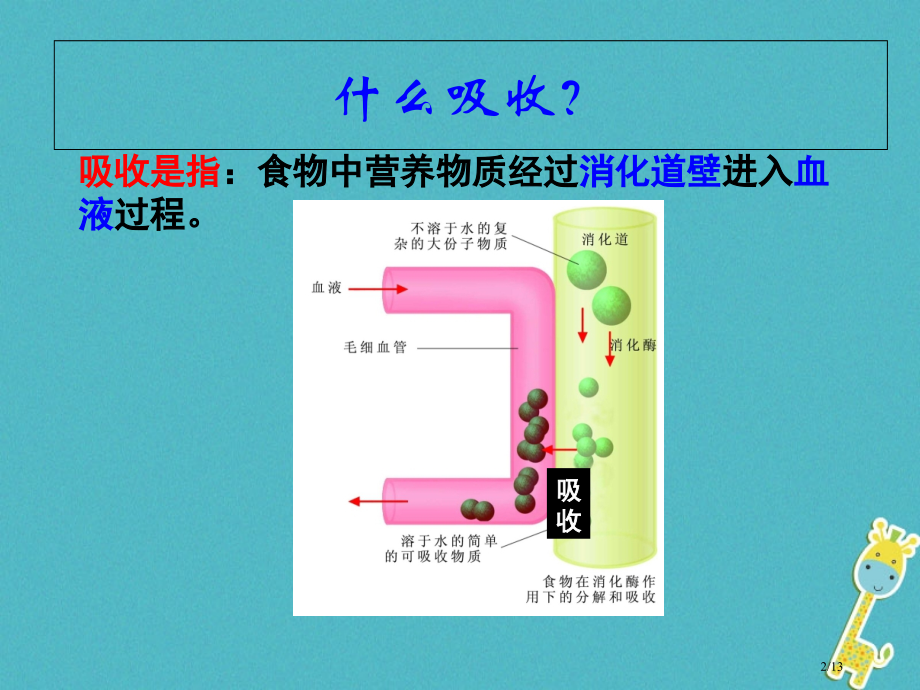 七年级生物上册3.5.4人体对食物的消化吸收教案全国公开课一等奖百校联赛微课赛课特等奖课件.pptx_第2页