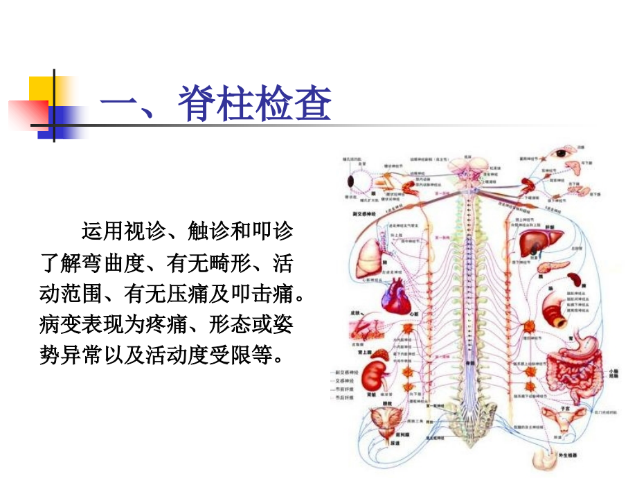推拿临床常用特殊检查.ppt_第2页
