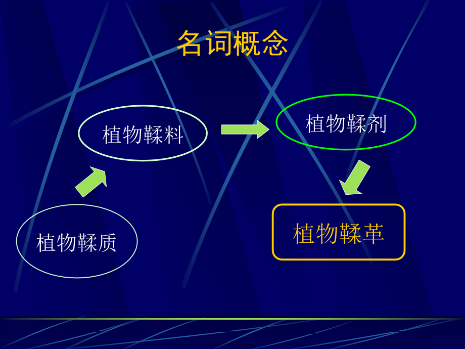 鞣制化学.pptx_第2页