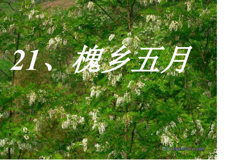 槐乡五月课件第一课时市公开课一等奖市赛课金奖课件.pptx_第1页