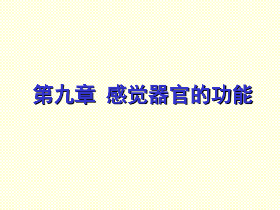 感官提纲.ppt_第1页
