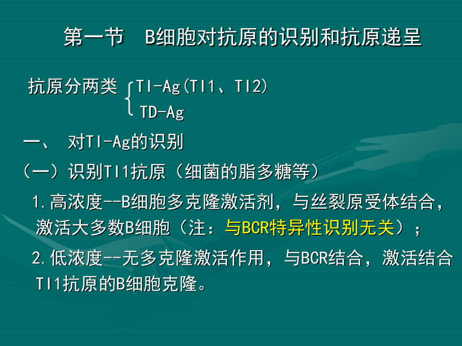 动物免疫学第七章--B细胞介导的体液免疫应答.ppt_第1页