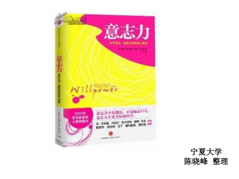 意志力-Willpower.ppt_第2页