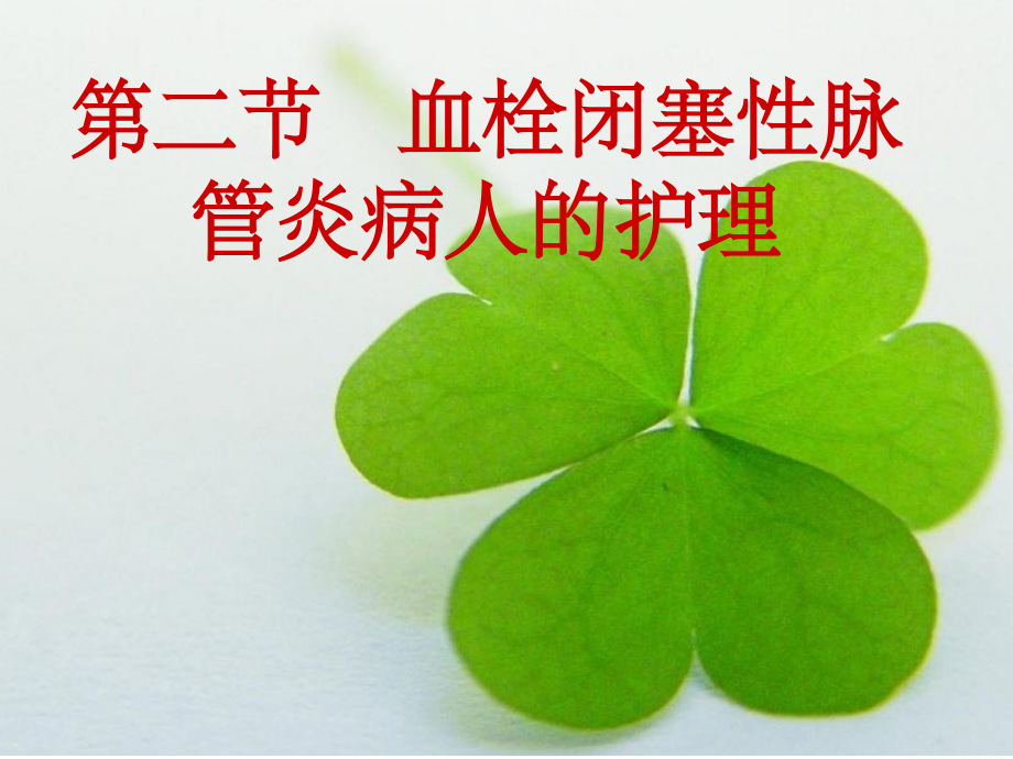 第二节-血栓闭塞性脉管炎病人的护理ppt课件.ppt_第1页