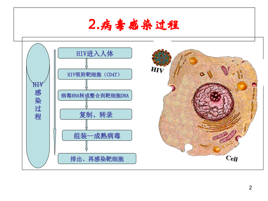 抗击艾滋--从我做起.ppt_第2页