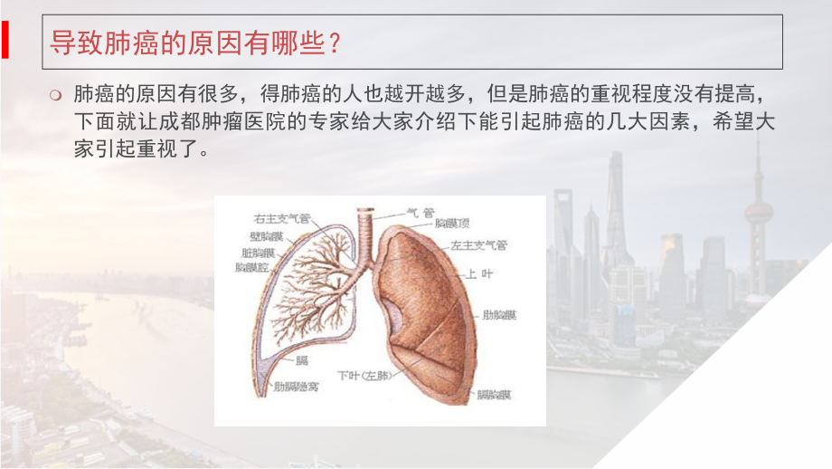 成都中医肿瘤研究院(3)导致肺癌的原因.ppt_第2页