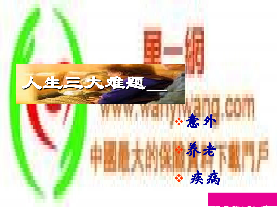 新版寿险的意义与功用.ppt_第2页