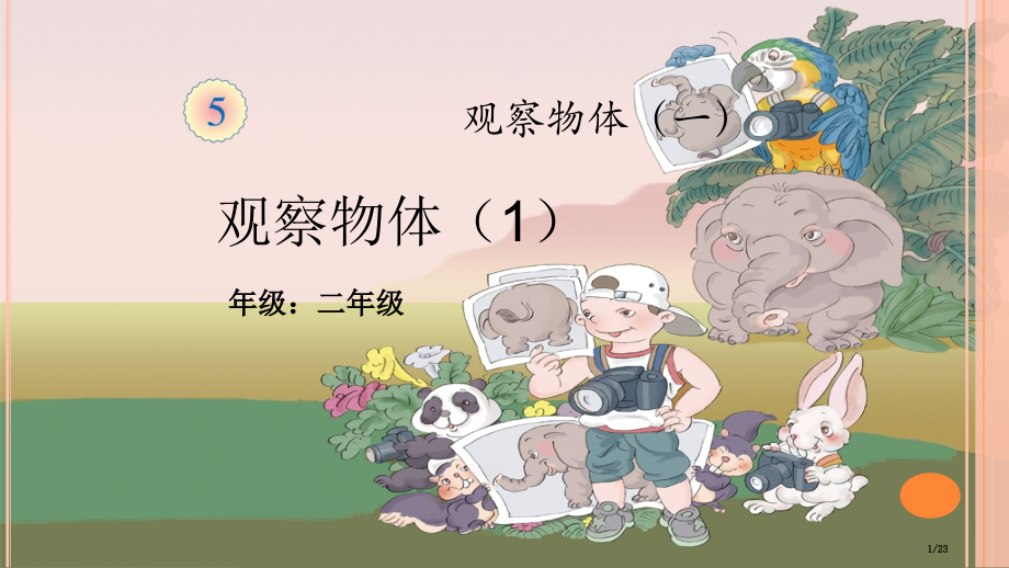 《观察物体1》.pptx_第1页