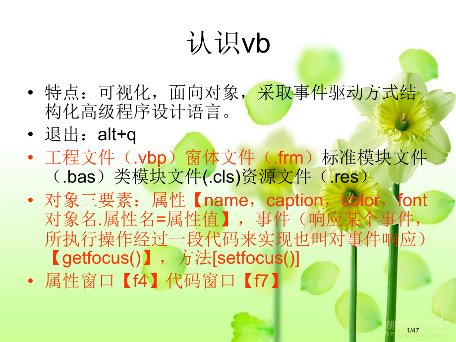 vb考试的知识点.pptx_第1页