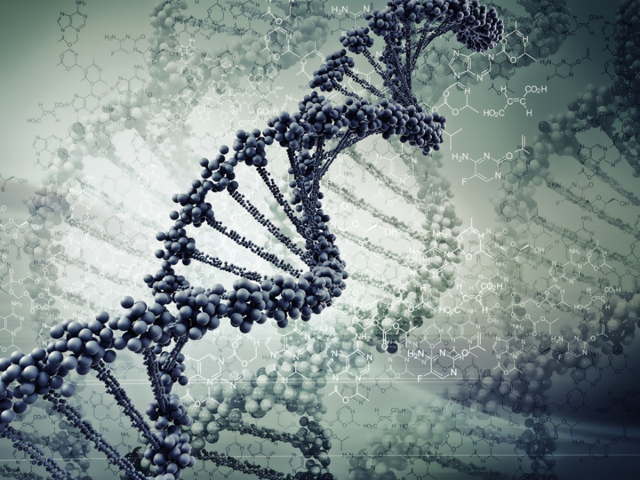 放射治疗技术-第三章生物.ppt_第1页