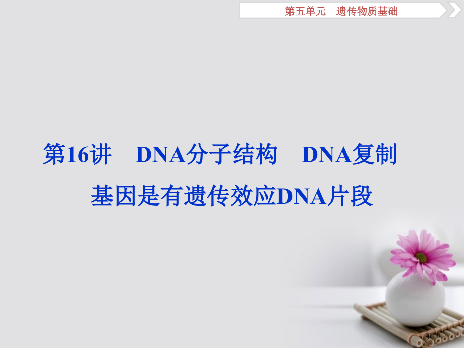 高考生物总复习第五单元遗传的物质基础第16讲DNA分子的结构DNA的复制基因是有遗传效应的全国公开课.pptx_第1页