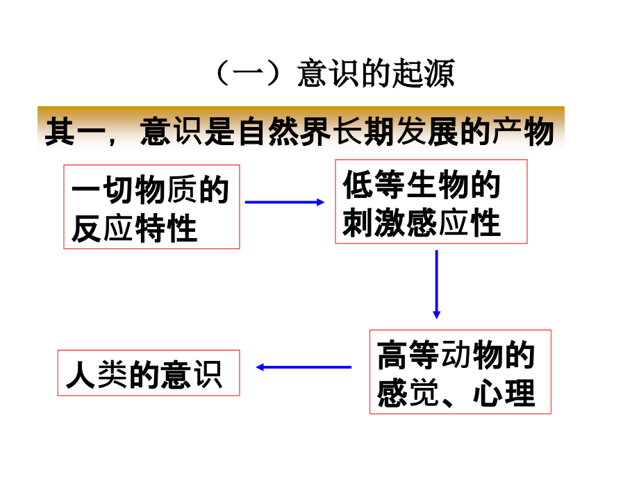 意识实践和规律.ppt_第2页