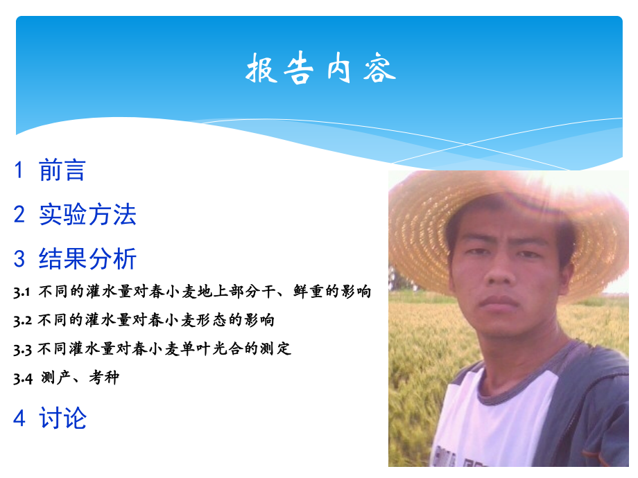 新疆滴管春小麦群体结构与产量的研究..pptx_第2页