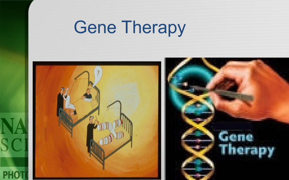 恶性肿瘤的基因治疗.ppt_第2页