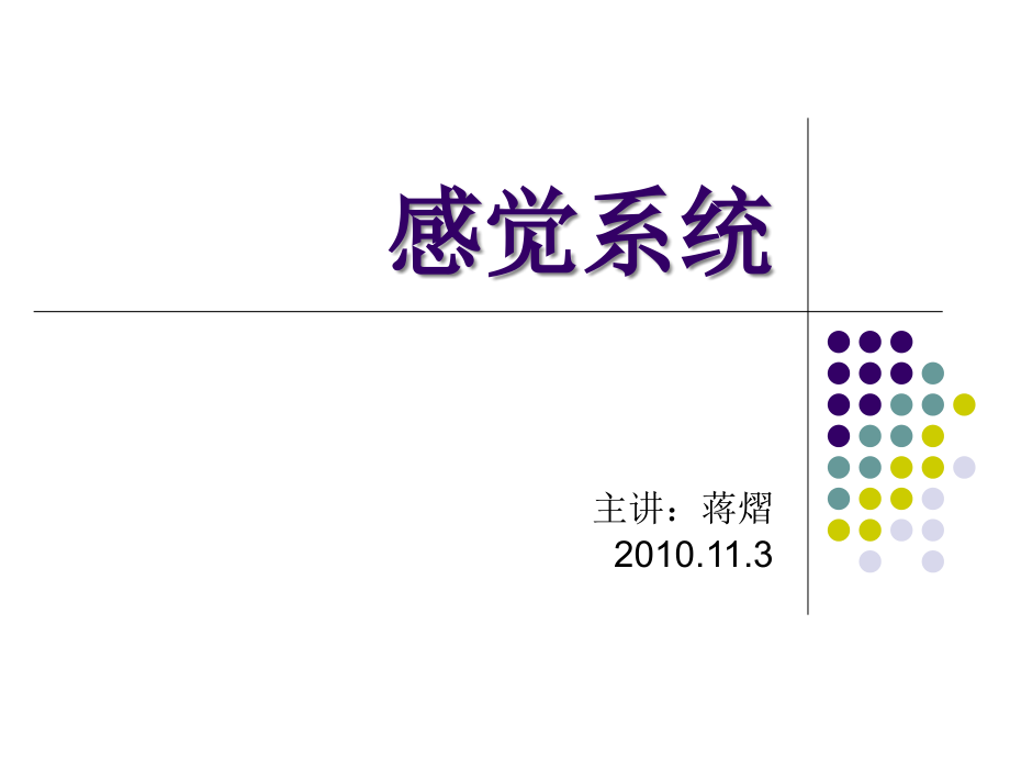 感觉系统.ppt_第1页